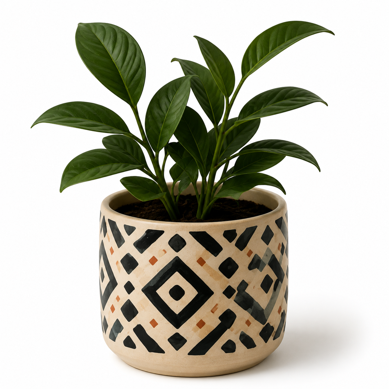 Plant basket